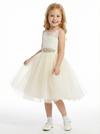 Illusion Lace Flower Girl Dress Sleeveless A-Line Tulle Skirt Tea Length Wedding Dress