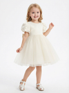 Puff Short Sleeves Jewel Satin Princess Dress Flower Girl Dress Birthday Party Dresses