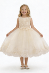 Flower Princess Dress Childrens Communion Pageant Dress Flower Dresses for Wedding