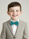 Boy's Crepe Bow Tie