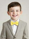 Boy's Crepe Bow Tie