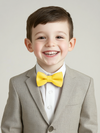 Boy's Crepe Bow Tie