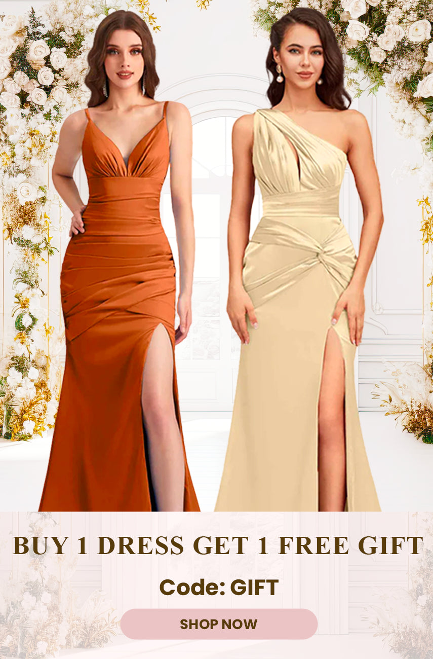 Buy 1 dresses get a free gift - cetims.com