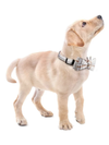 Pets Collar with Bowtie, Durable Adjustable and Comfortable Collar