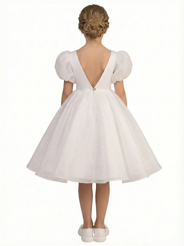 Wedding Flowers Pageant Dress V Neck Flower Princess Dress Princess Lace