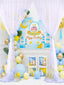 Simple Sheer Wedding Party Home Decoration Background Curtain,HCP14